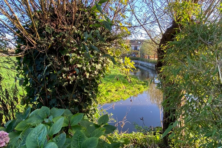 Photo 23 of Meester van Loostraat 8