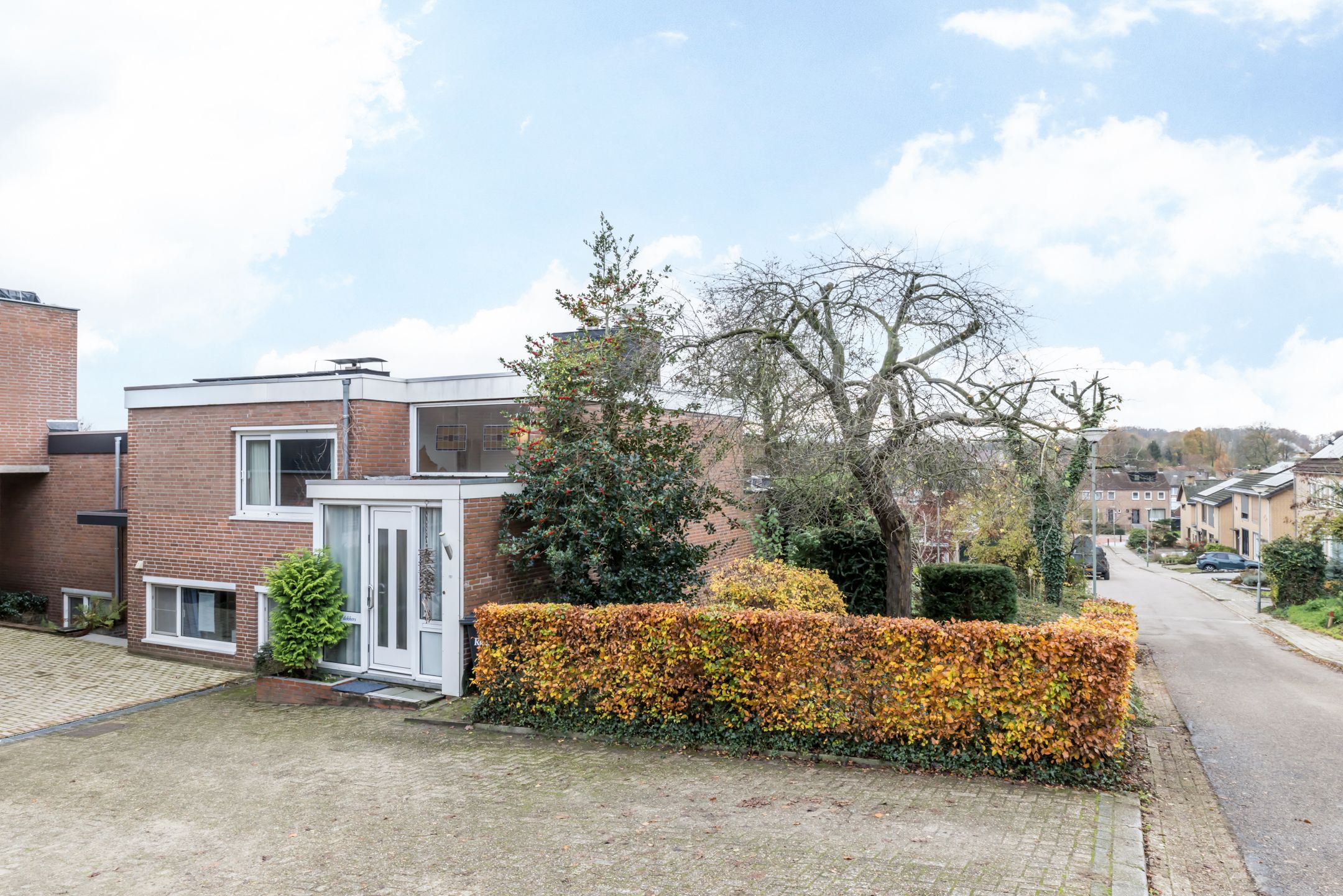 Photo 45 of Drossaertweide 1
