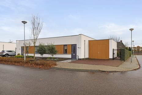 undefined main image