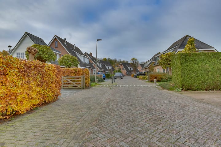 Foto 41 van Duifkruid 27