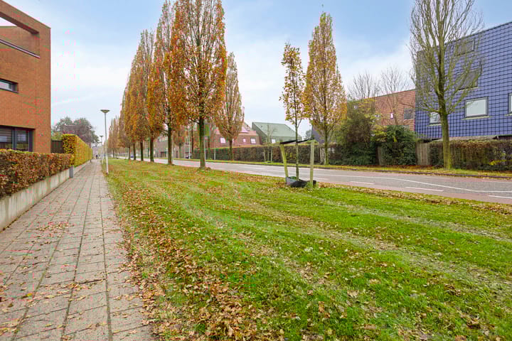 Foto 43 van Schepenensingel 20