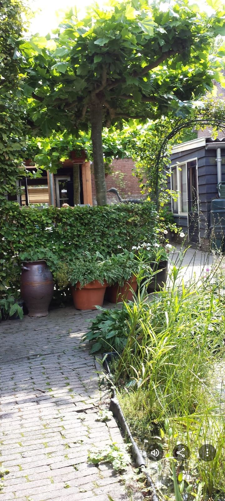 Photo 32 of Mr. Tydemanstraat 12