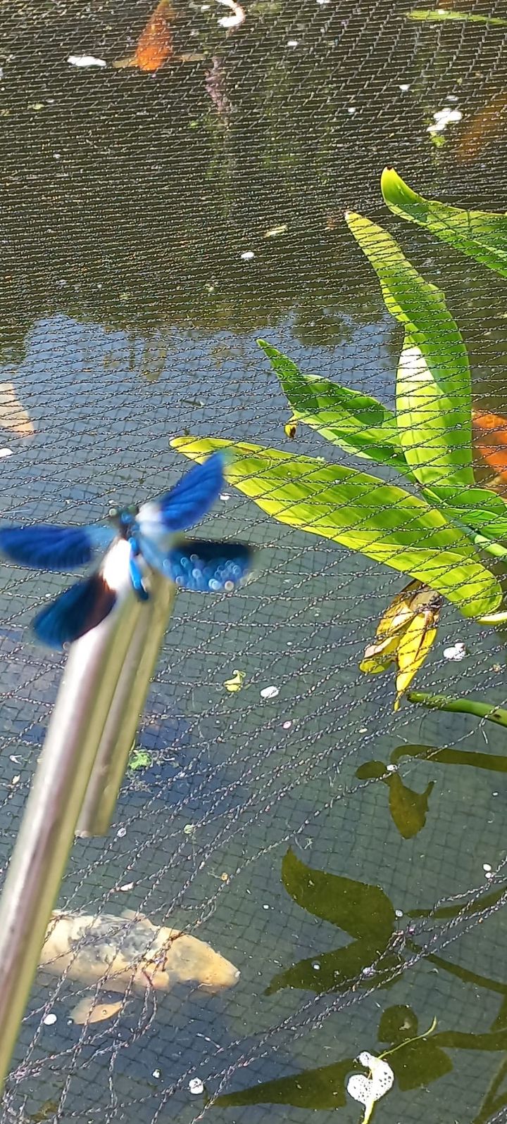 Photo 33 of Mr. Tydemanstraat 12