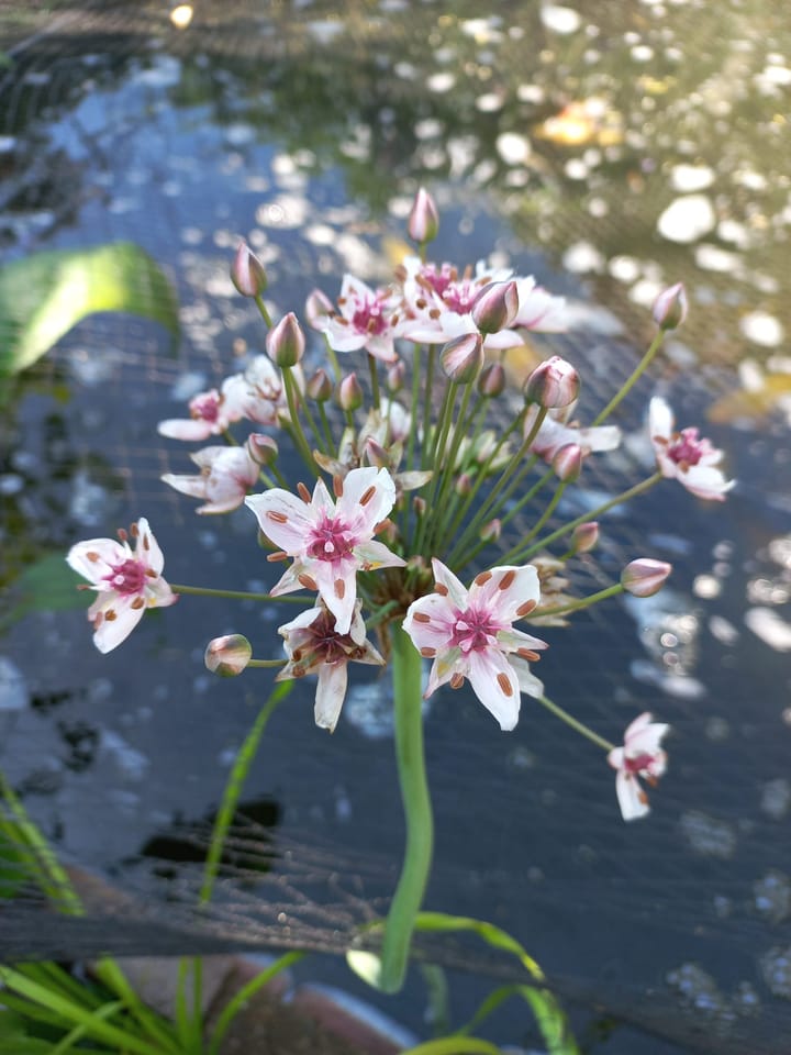 Photo 34 of Mr. Tydemanstraat 12