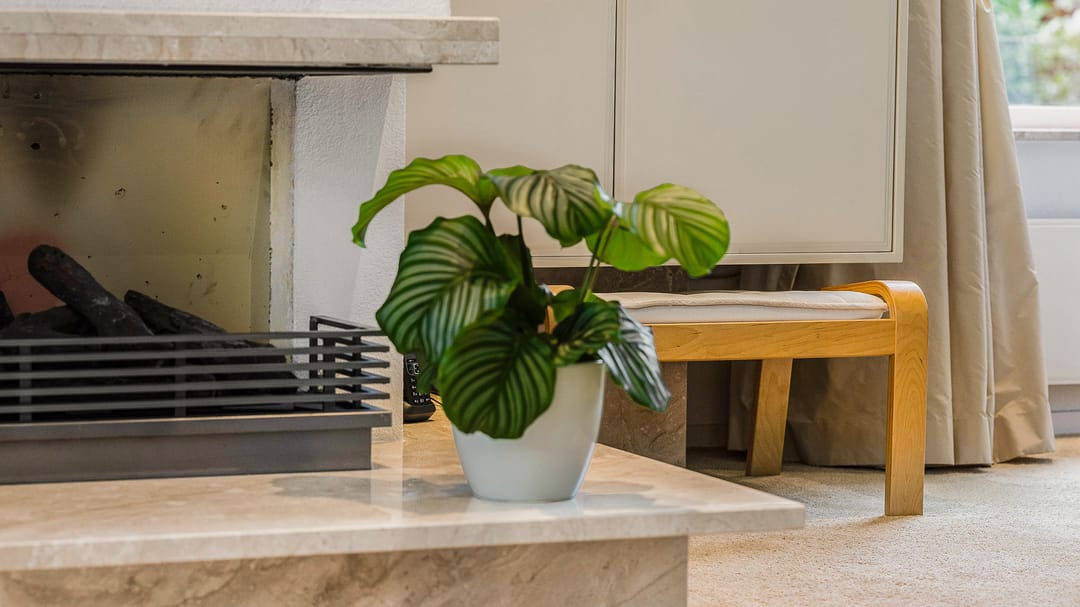 Photo 13 of Ringvaartweg 223