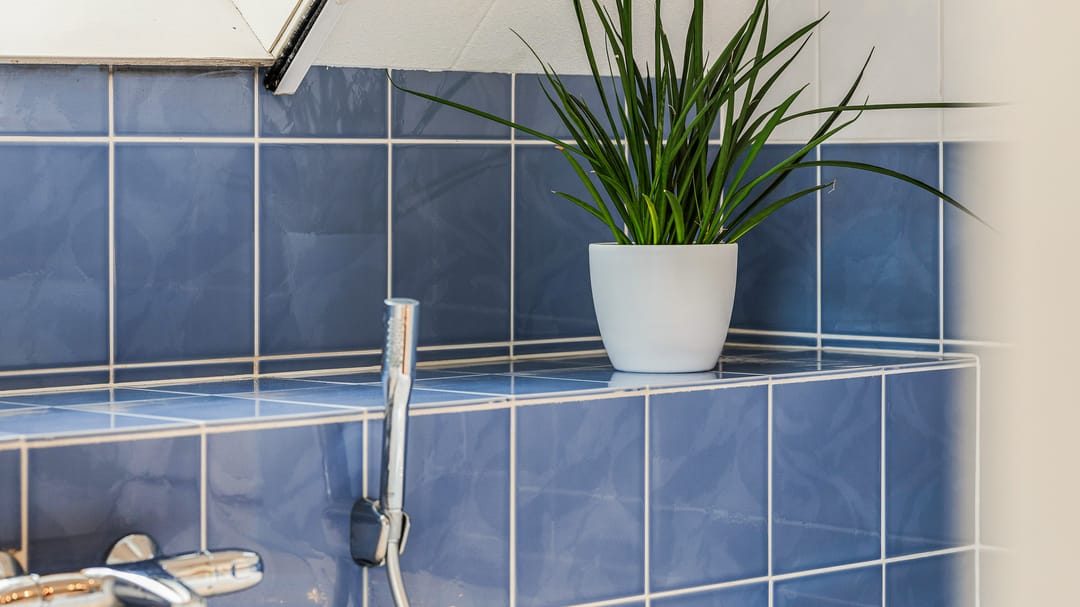 Photo 38 of Ringvaartweg 223