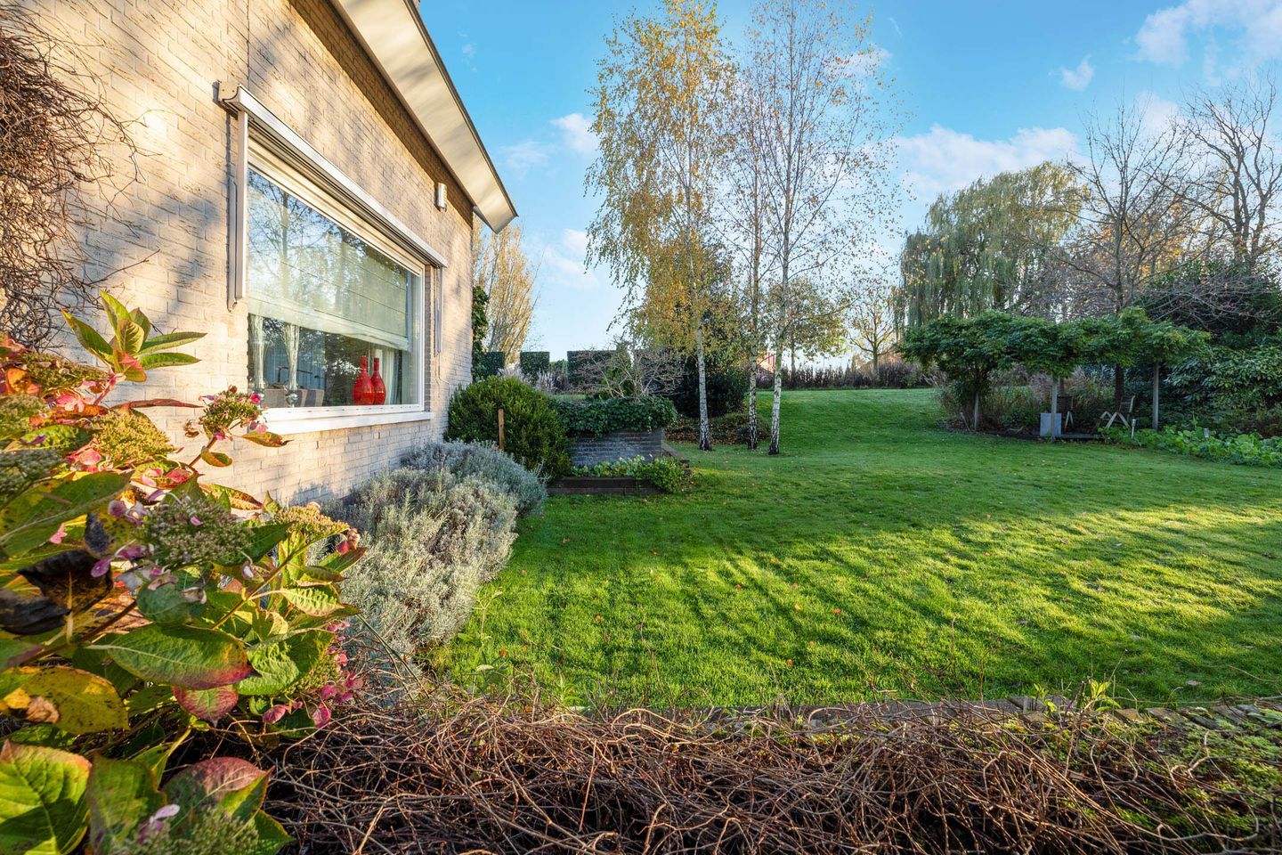 Photo 80 of Ringvaartweg 223