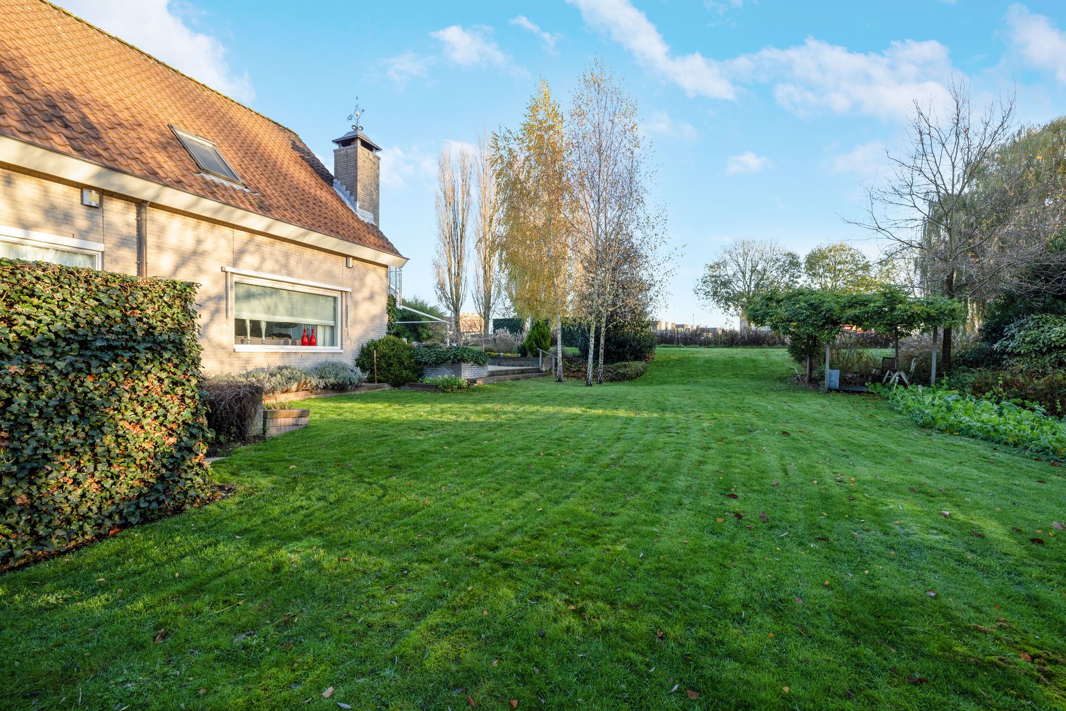 Photo 81 of Ringvaartweg 223