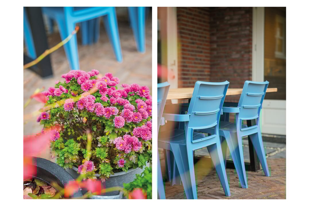 Foto 37 van Bollenhoef 4