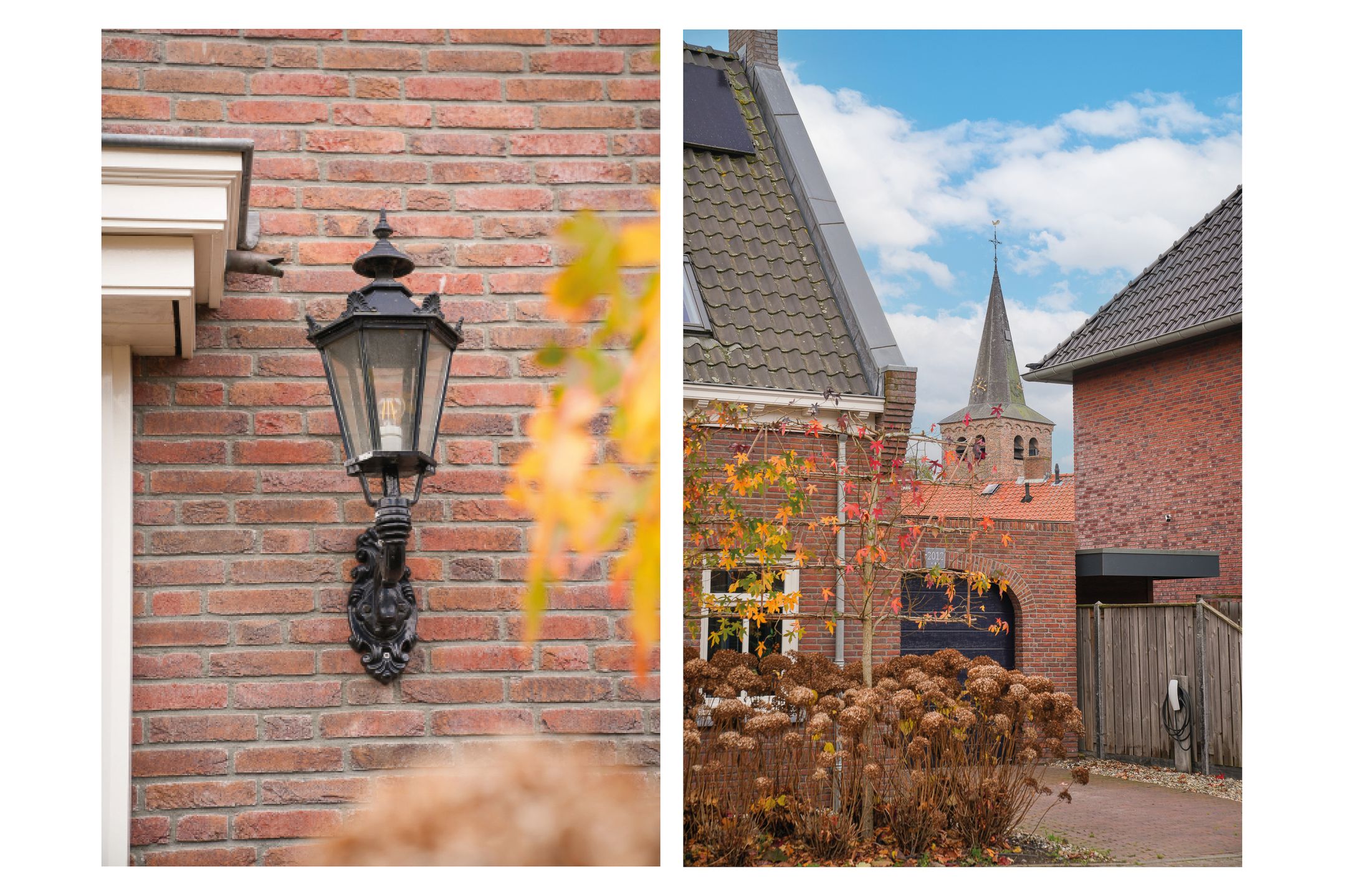 Foto 51 van Bollenhoef 4