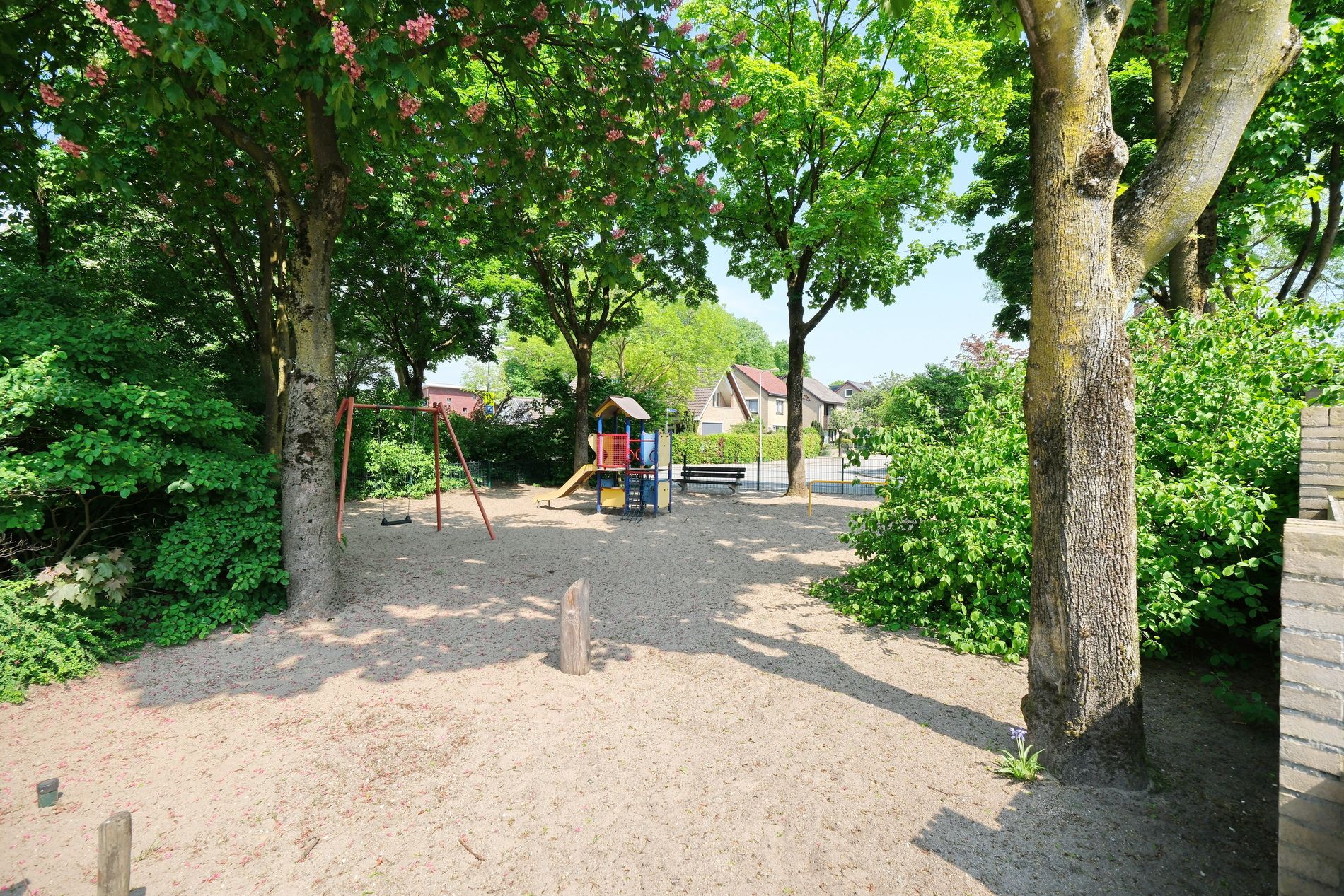 Foto 30 van Witte de Withstraat 27