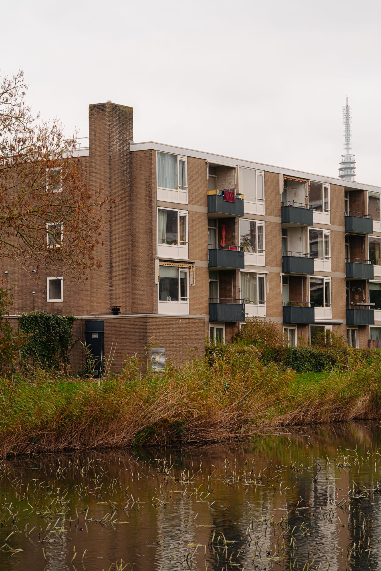 Photo 21 of Frieslandstraat 75
