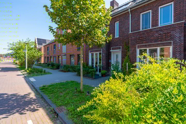 Zoutstruikstraat 14 main image