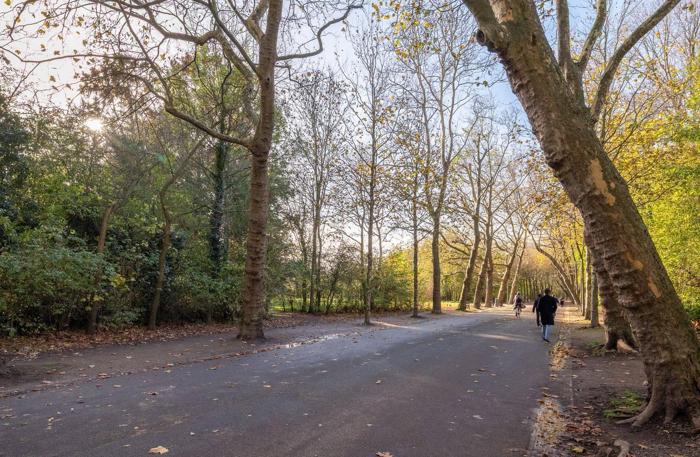 Foto 34 van Frederiksstraat 37-3