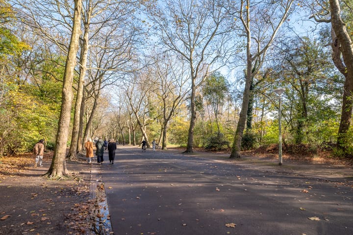 Foto 35 van Frederiksstraat 37-3