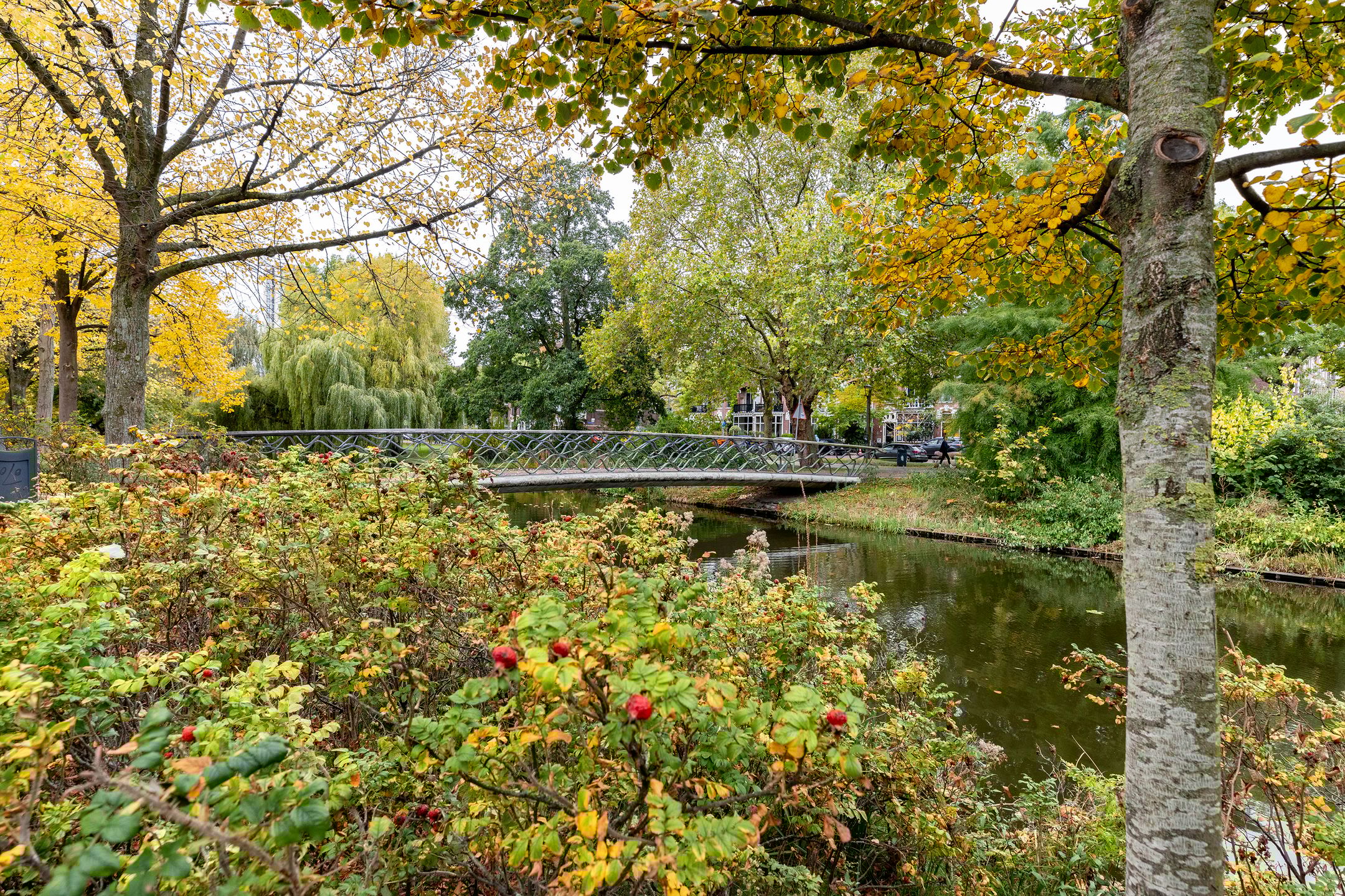 Photo 36 of Spoorsingel 38-A02