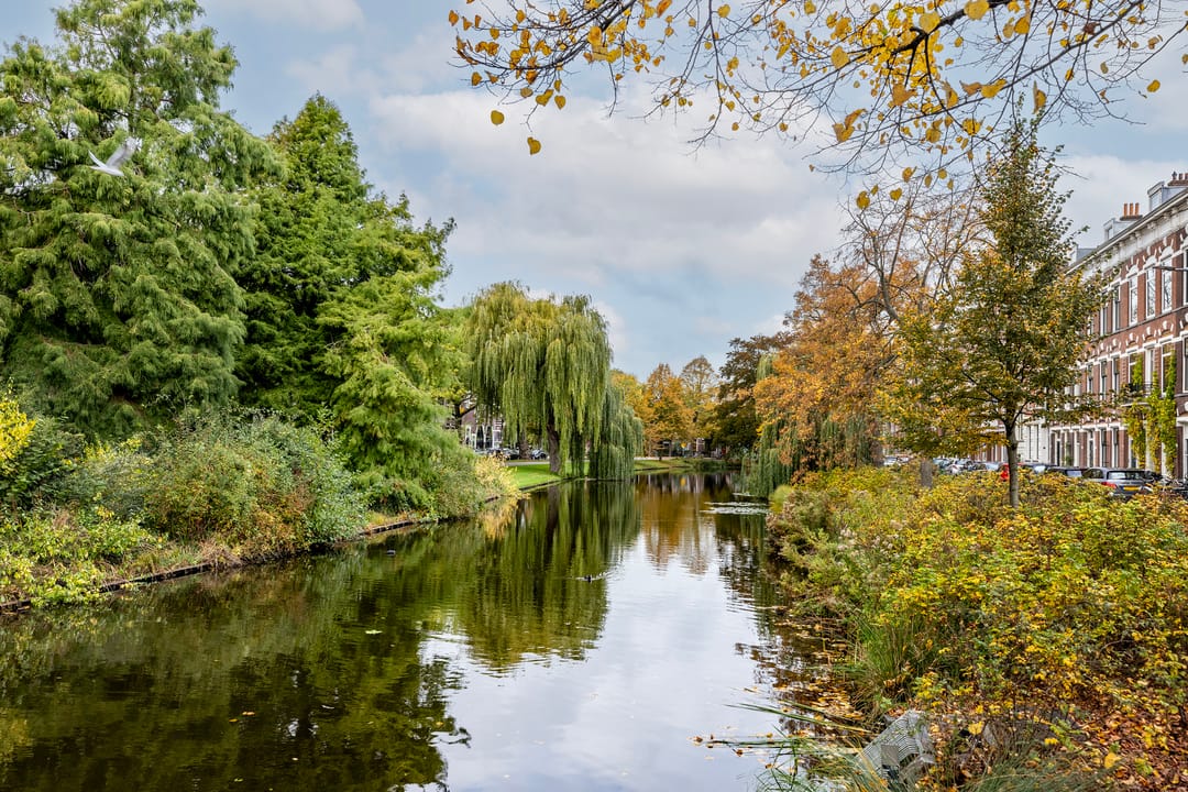 Photo 37 of Spoorsingel 38-A02