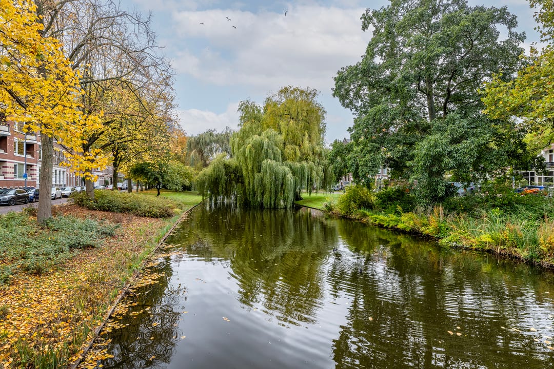 Photo 38 of Spoorsingel 38-A02