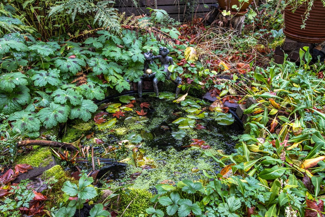 Foto 26 van Noordeindestraat 5