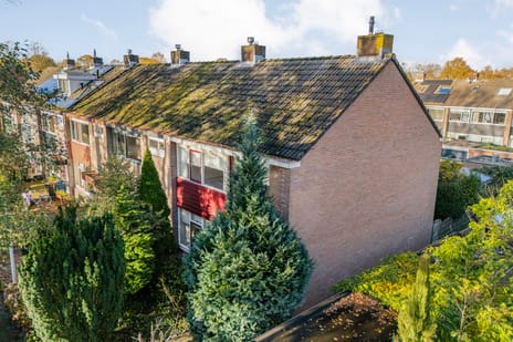 undefined main image