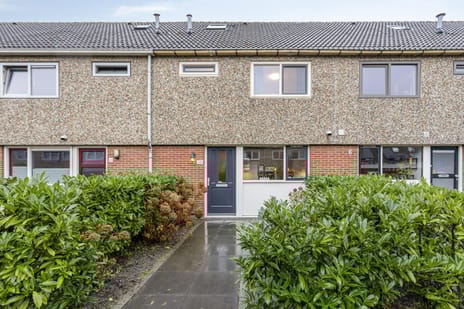 undefined main image