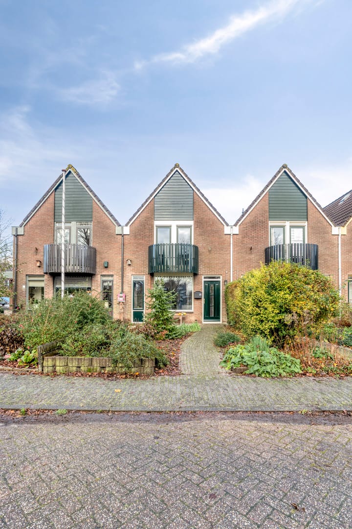 Foto 45 van Zuidgouw 39