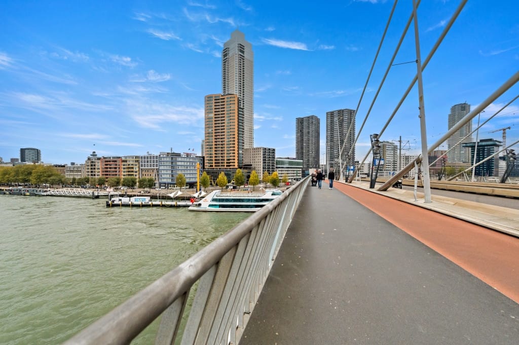 Foto 57 van Houtlaan 241