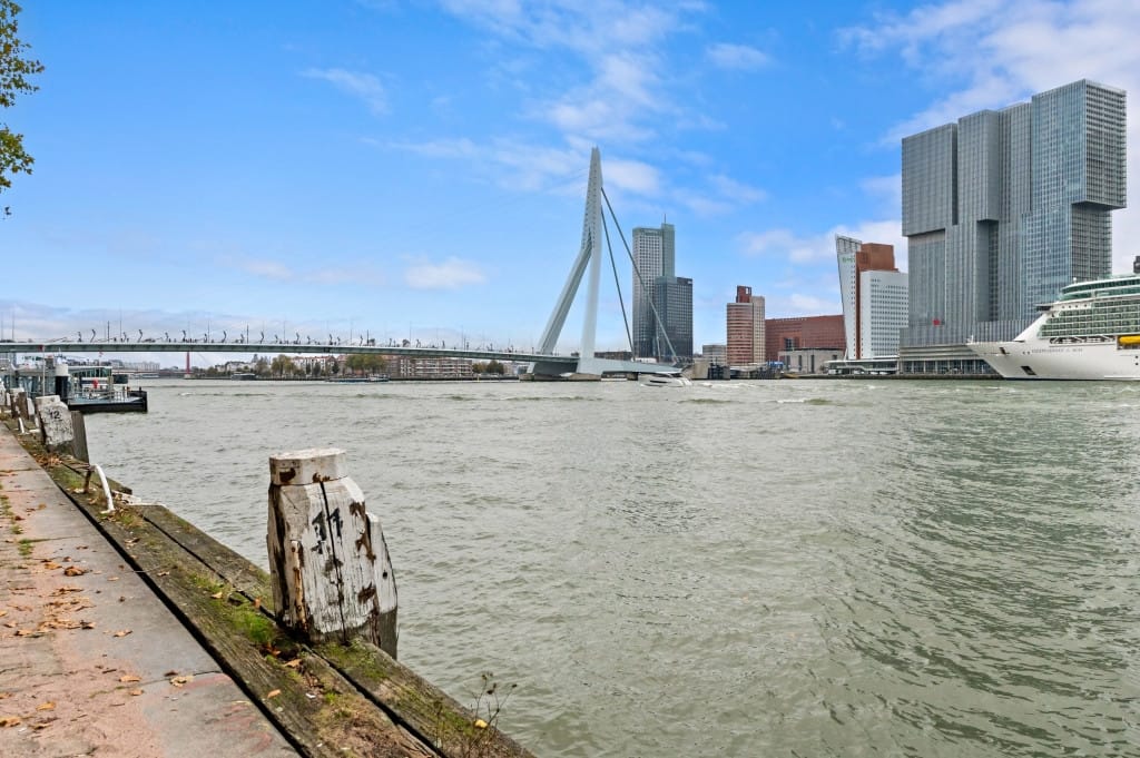 Foto 59 van Houtlaan 241