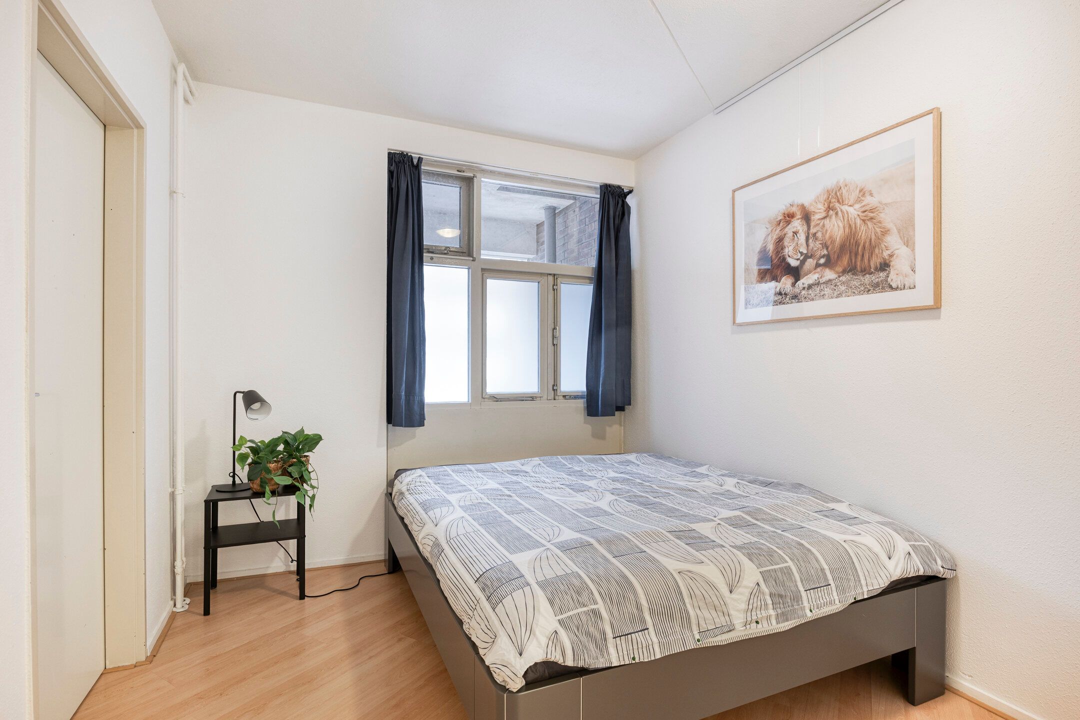 Foto 18 van Moesstraat 147