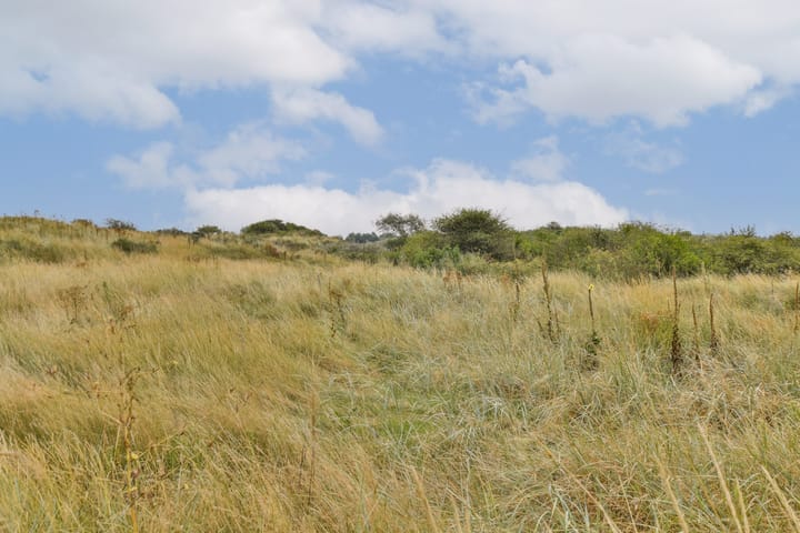 Photo 36 of Kamerlingh Onnesstraat 30