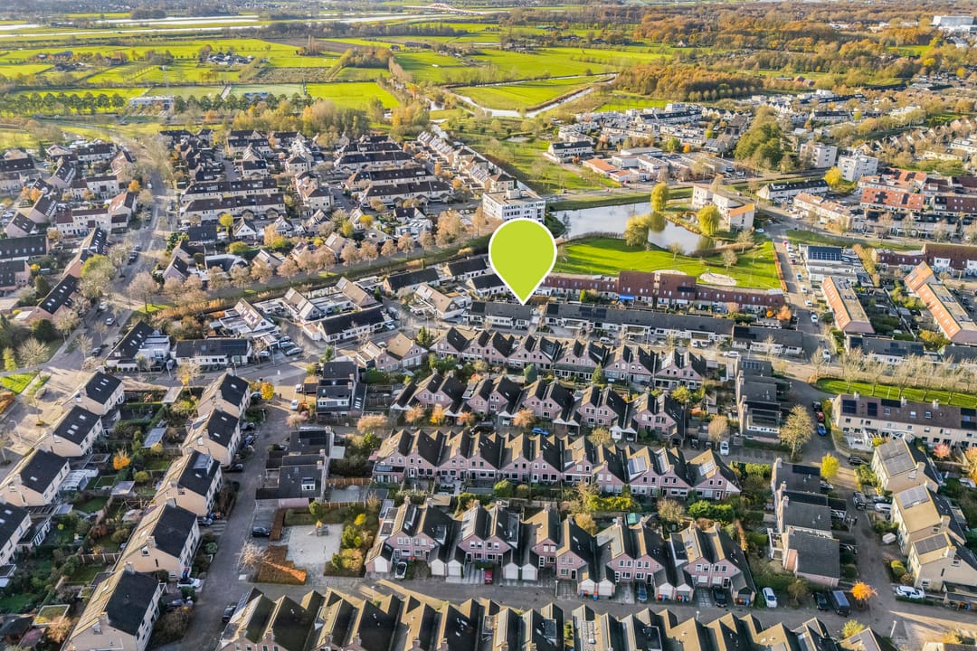 Photo 2 of Citroenvlinder 19