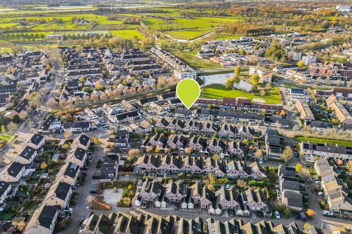 Photo 2 of Citroenvlinder 19