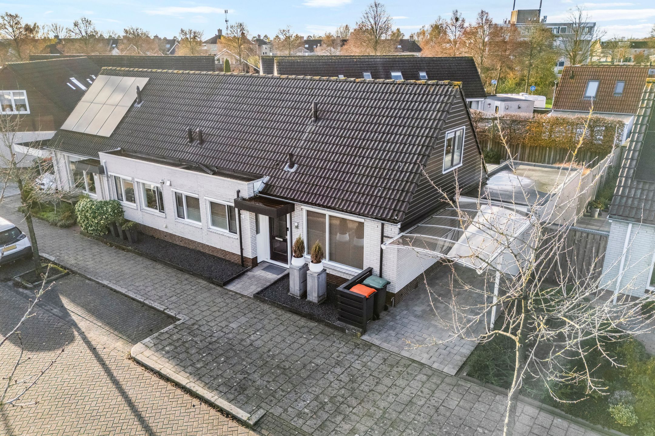 Photo 3 of Citroenvlinder 19