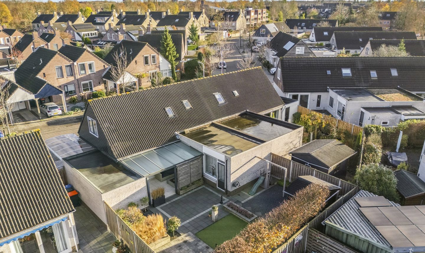 Photo 4 of Citroenvlinder 19