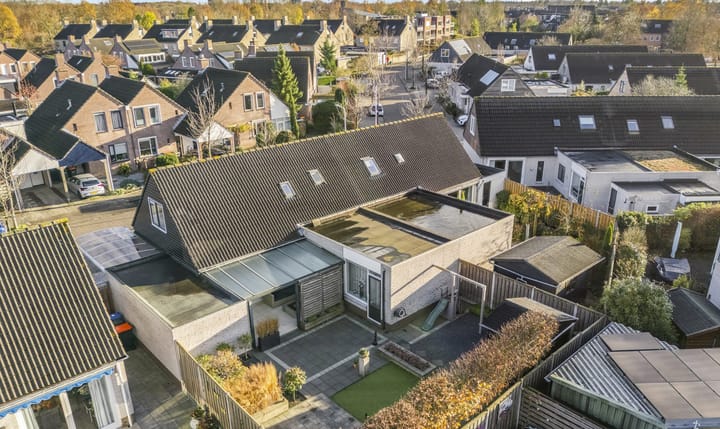 Photo 4 of Citroenvlinder 19