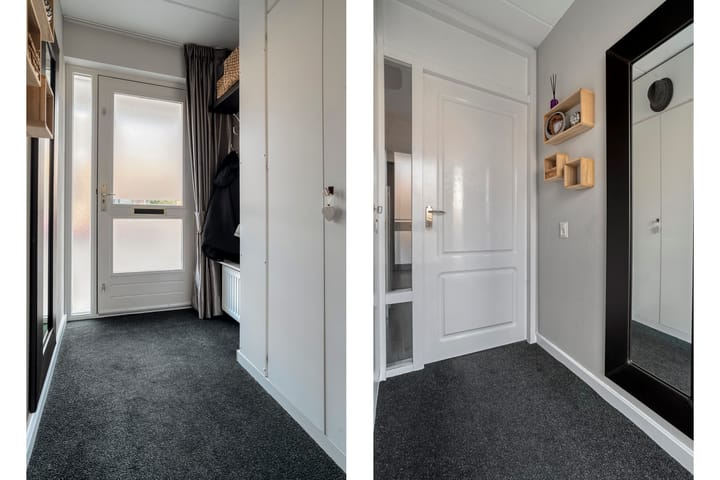 Photo 5 of Citroenvlinder 19