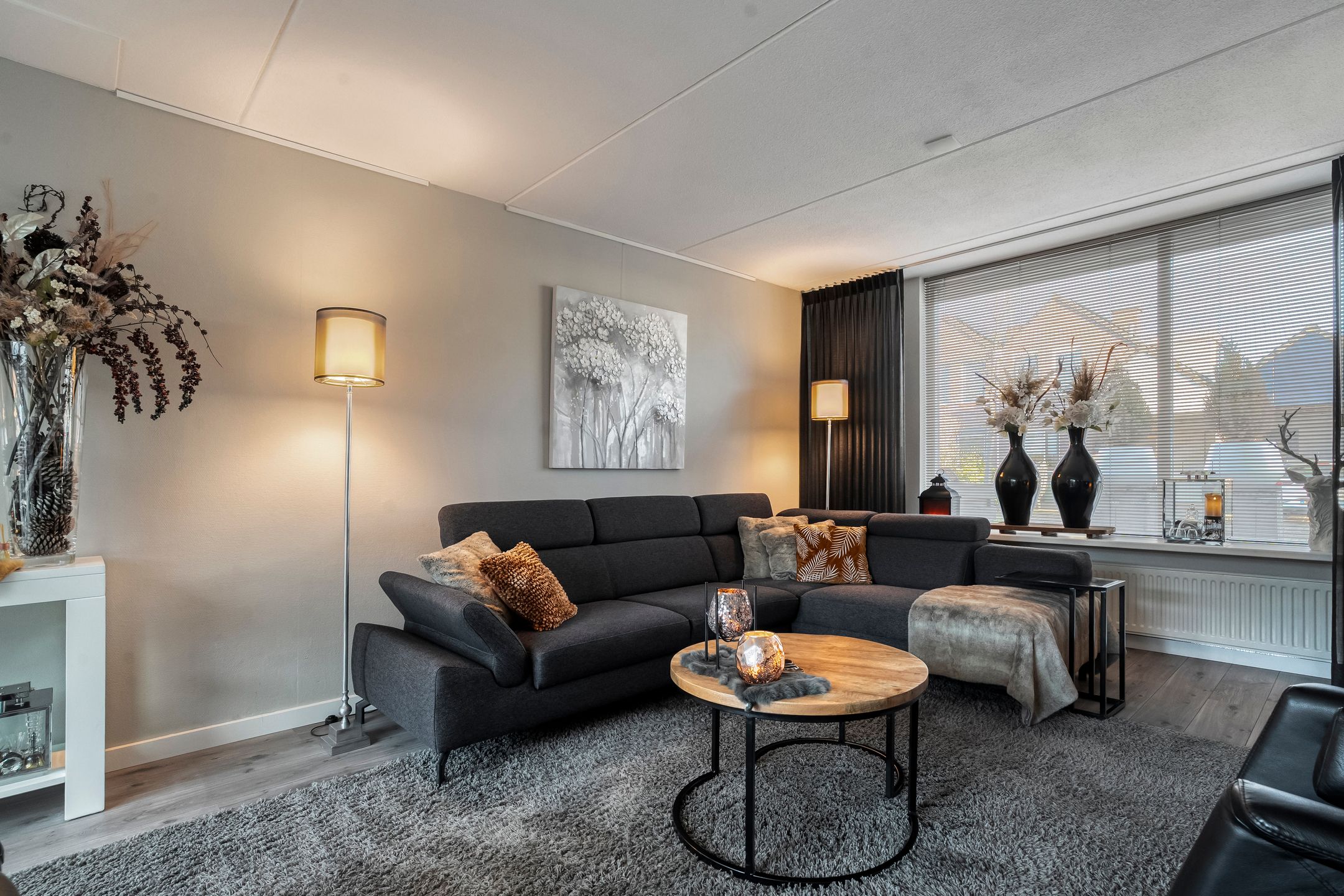 Photo 6 of Citroenvlinder 19