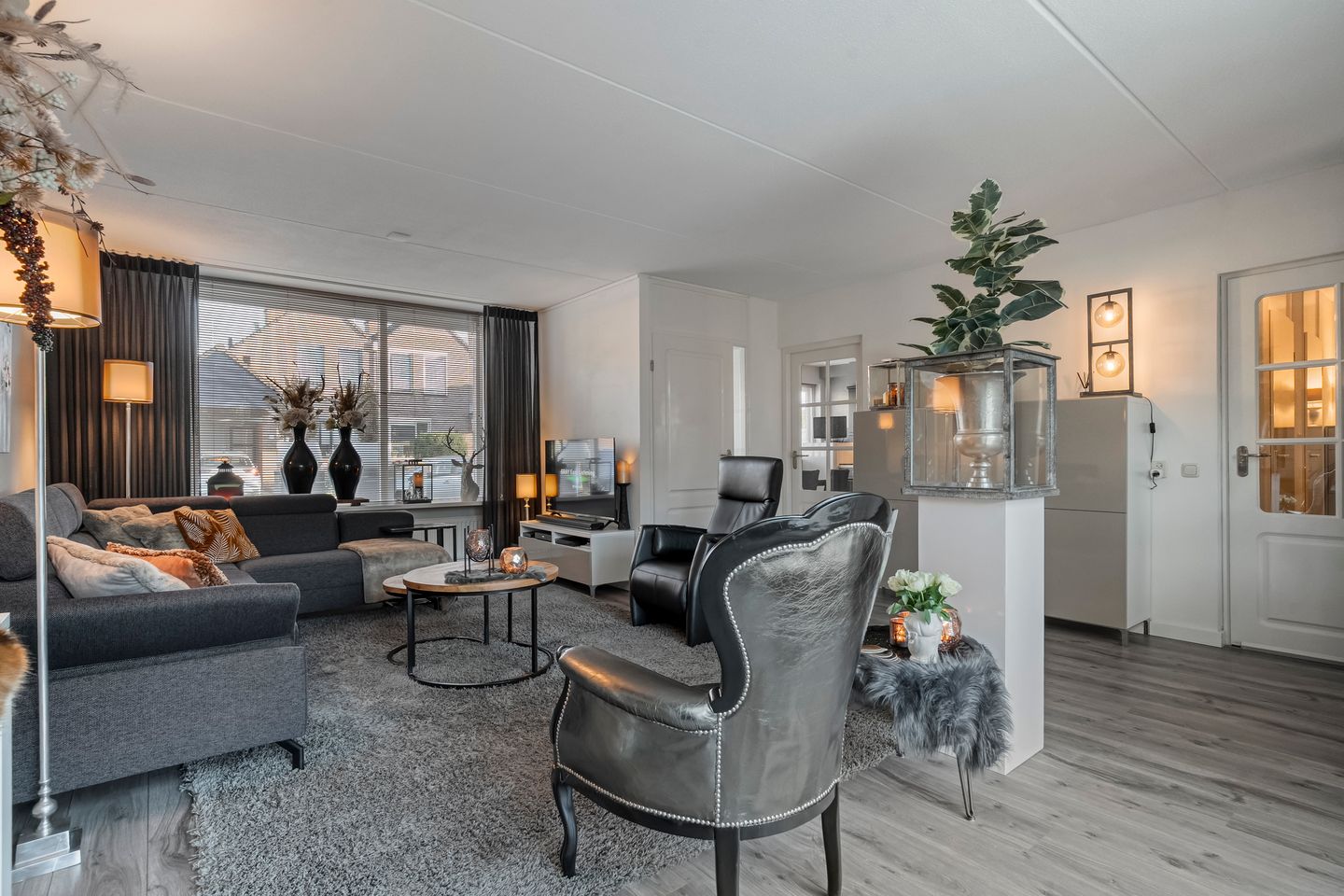 Photo 10 of Citroenvlinder 19