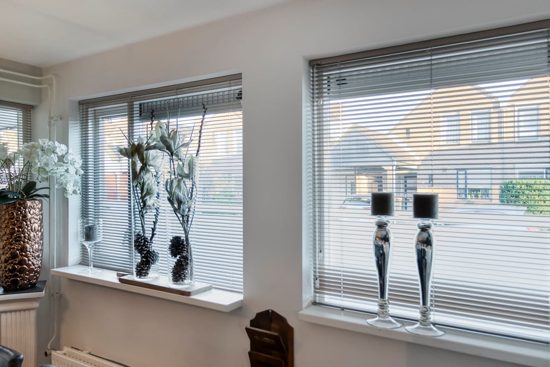 Photo 17 of Citroenvlinder 19