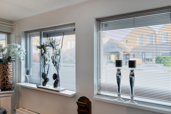 Photo 17 of Citroenvlinder 19