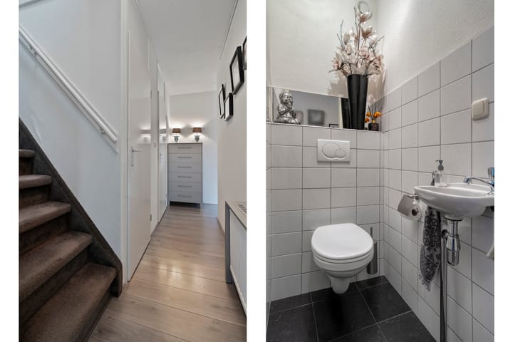 Photo 19 of Citroenvlinder 19