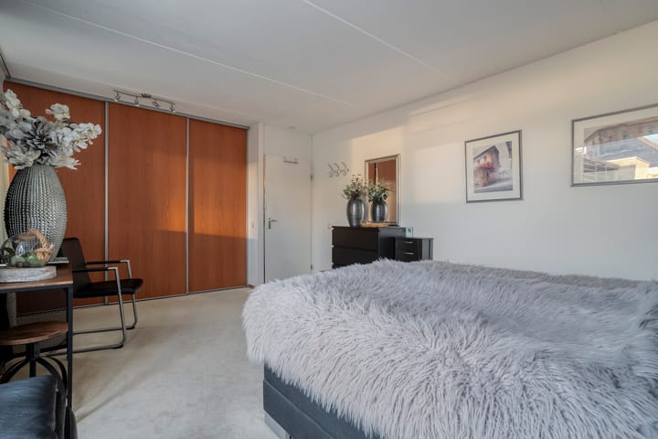 Photo 24 of Citroenvlinder 19