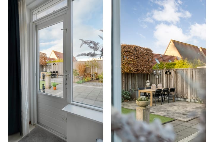 Photo 25 of Citroenvlinder 19