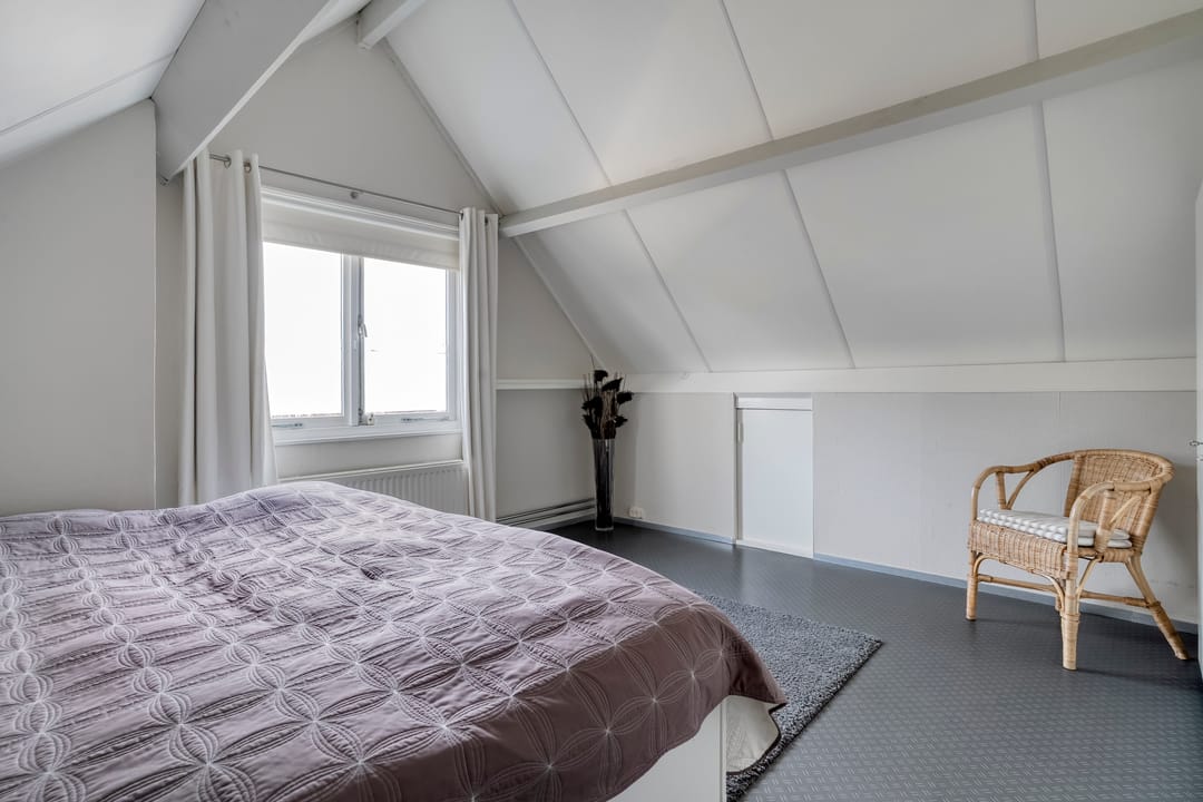 Photo 28 of Citroenvlinder 19