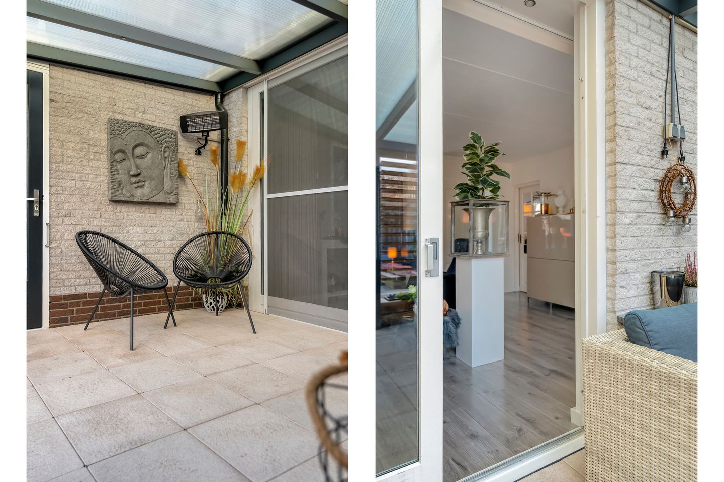 Photo 34 of Citroenvlinder 19