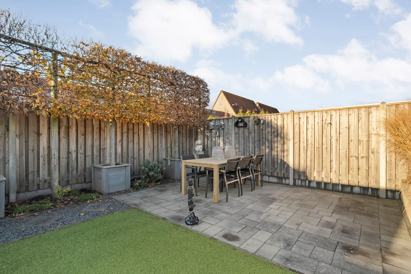 Photo 35 of Citroenvlinder 19