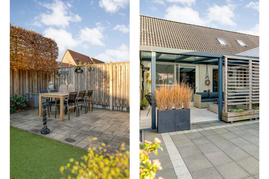 Photo 38 of Citroenvlinder 19