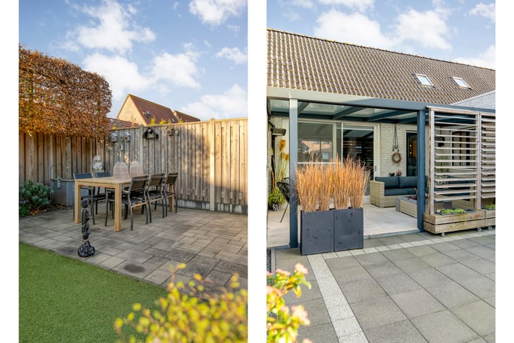 Photo 38 of Citroenvlinder 19