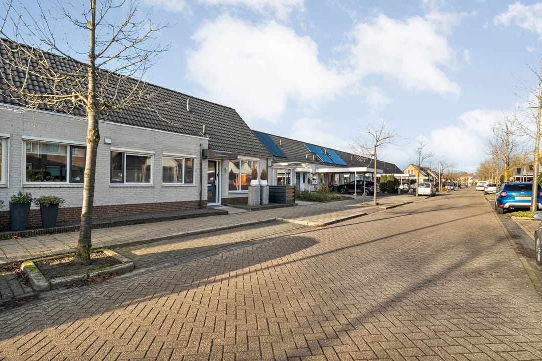 Photo 41 of Citroenvlinder 19