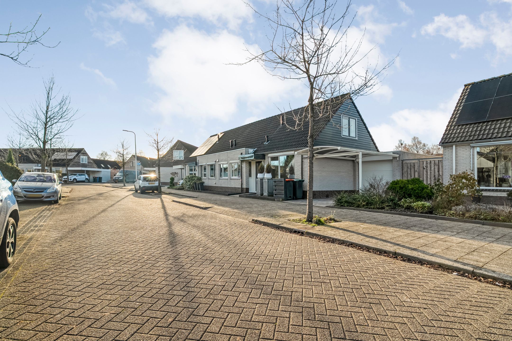 Photo 42 of Citroenvlinder 19